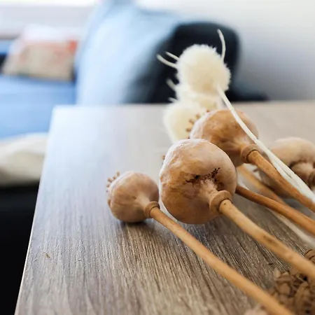 Awesome In With Wifi Apartament Ostenda